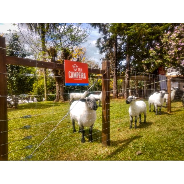 Tela Campeira Galvanizada Fio 2,30 e 2,10mm (campestre) - Rolo 50m